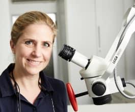 Endodontie / Wurzelbehandlung